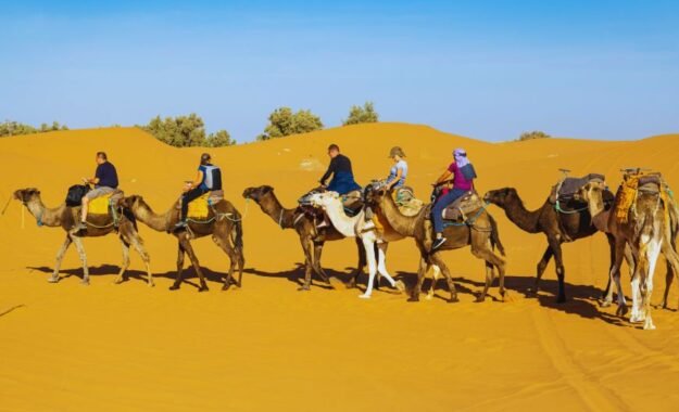 how to get to Merzouga from Marrakech?