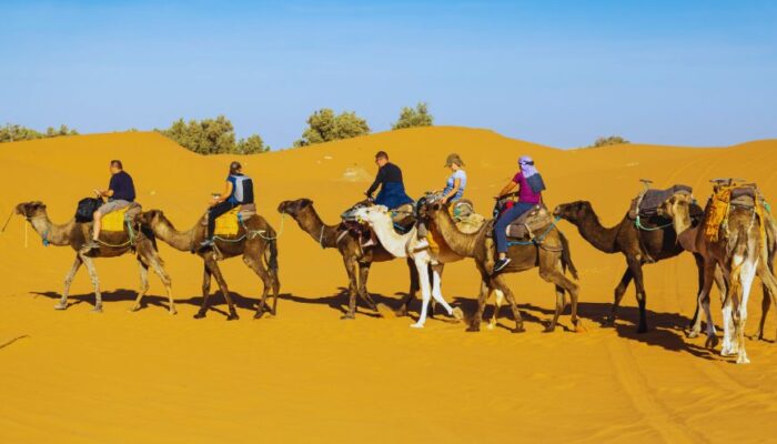 how to get to Merzouga from Marrakech?