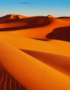 camel ride in merzouga